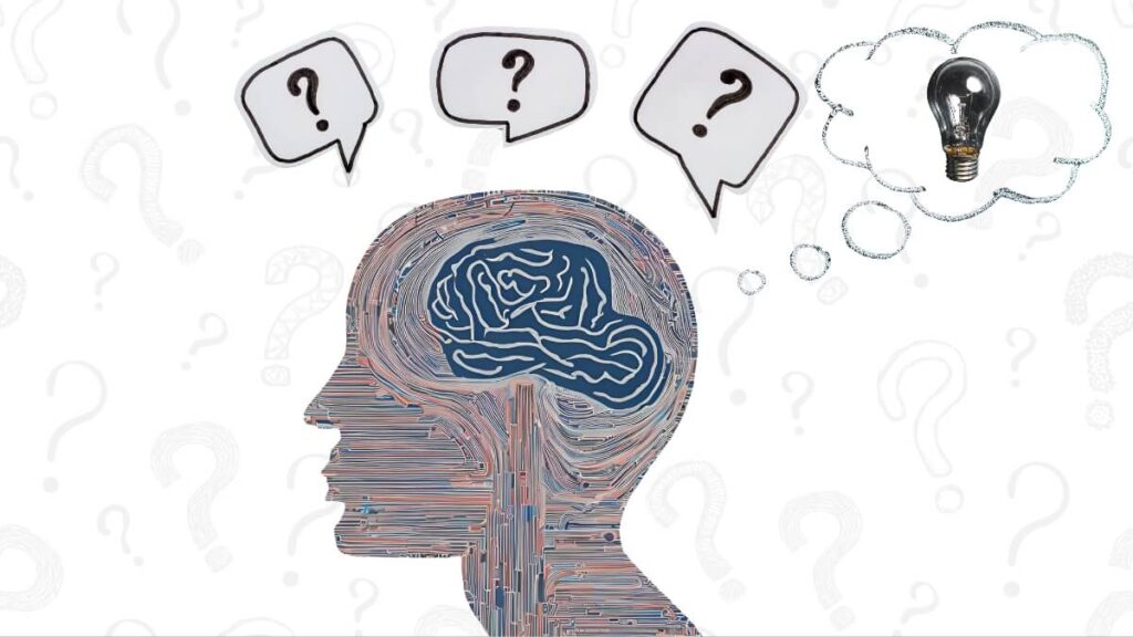 Why Cognitive Development Is Important: Essential Guide for All why is cognitive development important?