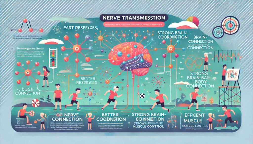 Nerve Transmission